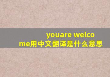 youare welcome用中文翻译是什么意思